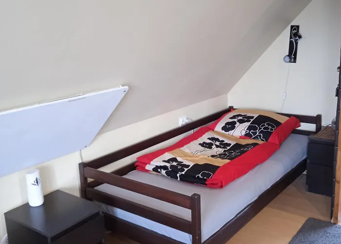 民宿 Kamex Dom 12-osobowy *