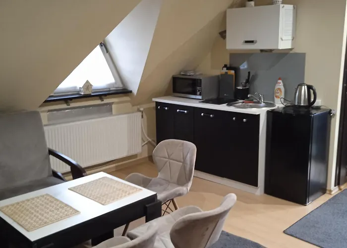 בית אירוח Kamex Dom 12-osobowy אולשטין